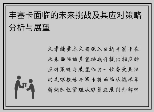 丰塞卡面临的未来挑战及其应对策略分析与展望