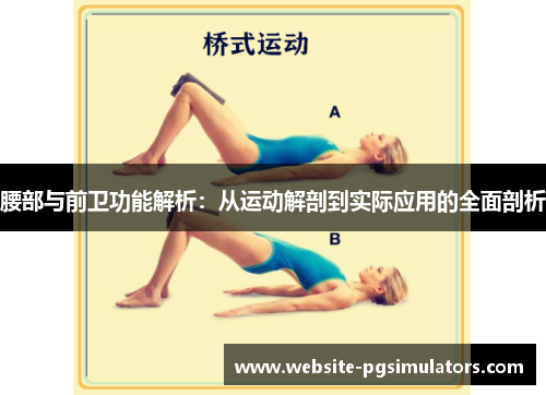 腰部与前卫功能解析：从运动解剖到实际应用的全面剖析