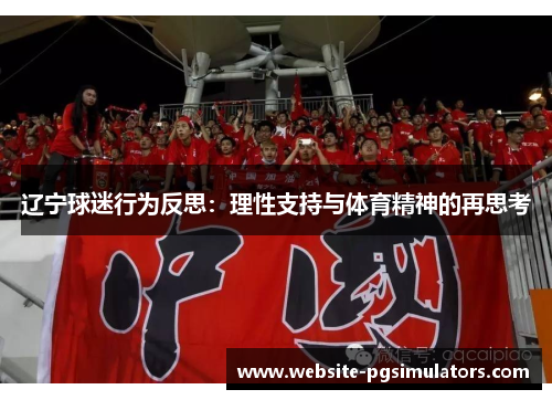 辽宁球迷行为反思：理性支持与体育精神的再思考