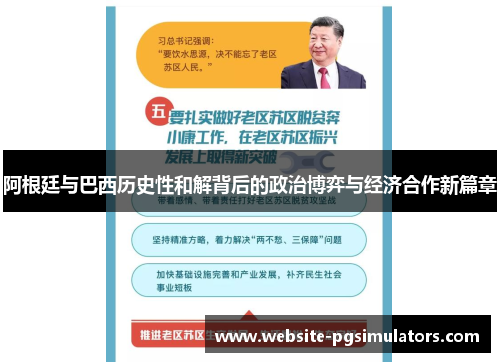 阿根廷与巴西历史性和解背后的政治博弈与经济合作新篇章