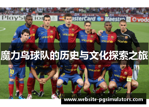 魔力鸟球队的历史与文化探索之旅 魔力鸟球队的历史与文化探索之旅