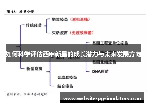 如何科学评估西甲新星的成长潜力与未来发展方向