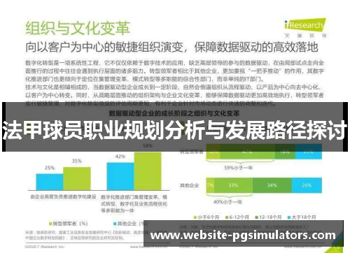 法甲球员职业规划分析与发展路径探讨