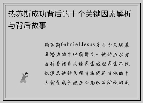 热苏斯成功背后的十个关键因素解析与背后故事